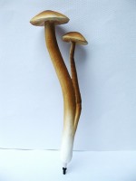 /album/vegetable-shaped-ball-pen/n-016-jpg/