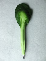 /album/vegetable-shaped-ball-pen/n-034-jpg/